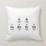 Hn
 Horneros  Pillows