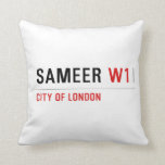 SAMEER  Pillows