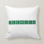 Pedacito  Pillows