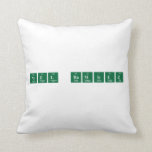 Noel Ramirez  Pillows