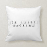 STEM Success
 Workshop  Pillows