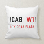 ICAB   Pillows