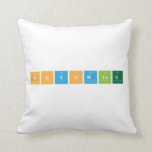Phyoming  Pillows