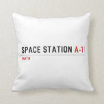 Space Station  Pillows