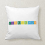 EliotGelwan  Pillows