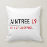Aintree  Pillows