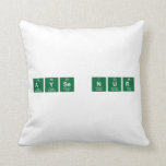 Ayse Nur   Pillows