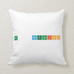 no   represion  Pillows