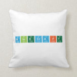 Minecraft  Pillows