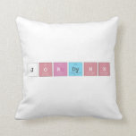 jordynn  Pillows