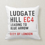 Ludgate  Hill  Pillows