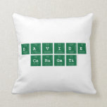 Davide  Carugati  Pillows