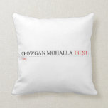 Chowgan mohalla  Pillows
