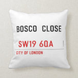 BOSCO  CLOSE    Pillows