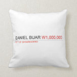 DANIEL BUAR  Pillows