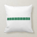 Suntoucher  Pillows
