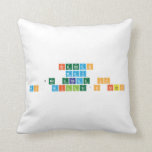 Brendan
 May
 2nd Grade CP
 Ms. Miller's Class  Pillows