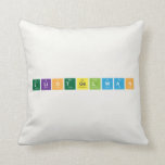 EliotGelwan  Pillows