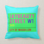 JayBeauty Street  Pillows