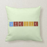 CAYDIID  Pillows