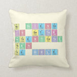 No science
 is better 
 authenticated
 than
 the Bible  Pillows