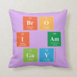 Bro
 I am
 Gay  Pillows