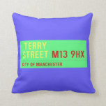  terry Street  Pillows