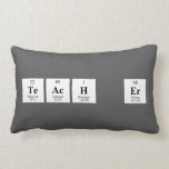 teach er  Pillows (Lumbar)