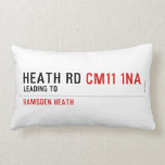 Heath Rd  Pillows (Lumbar)