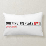 Mornington Place  Pillows (Lumbar)