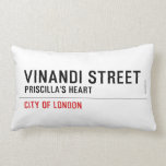 VINANDI STREET  Pillows (Lumbar)