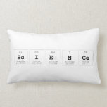 Science  Pillows (Lumbar)