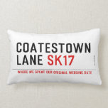coatestown lane  Pillows (Lumbar)