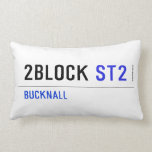 2Block  Pillows (Lumbar)
