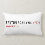 PAXTON ROAD END  Pillows (Lumbar)