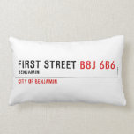 First Street  Pillows (Lumbar)