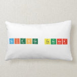 Science Teacher  Pillows (Lumbar)