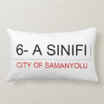 6- A SINIFI  Pillows (Lumbar)