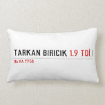 TARKAN BIRICIK  Pillows (Lumbar)