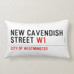 New Cavendish  Street  Pillows (Lumbar)