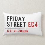 Friday  street  Pillows (Lumbar)