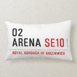 O2 ARENA  Pillows (Lumbar)