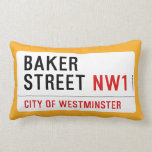 Baker Street  Pillows (Lumbar)