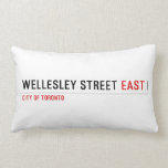 Wellesley Street  Pillows (Lumbar)