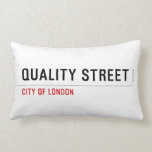 Quality Street  Pillows (Lumbar)