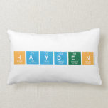 hayden   Pillows (Lumbar)
