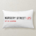 Nursery Street  Pillows (Lumbar)
