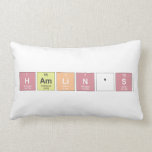HAMLIN'S  Pillows (Lumbar)