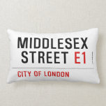 MIDDLESEX  STREET  Pillows (Lumbar)