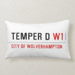 TEMPER D  Pillows (Lumbar)